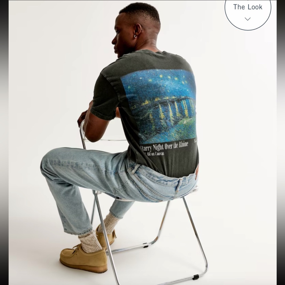 Abercrombie & Fitch Men’s Gray Van Gogh Graphic Tee - Picture 3 of 15